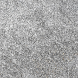 10_soft/large_Silver Galaxy